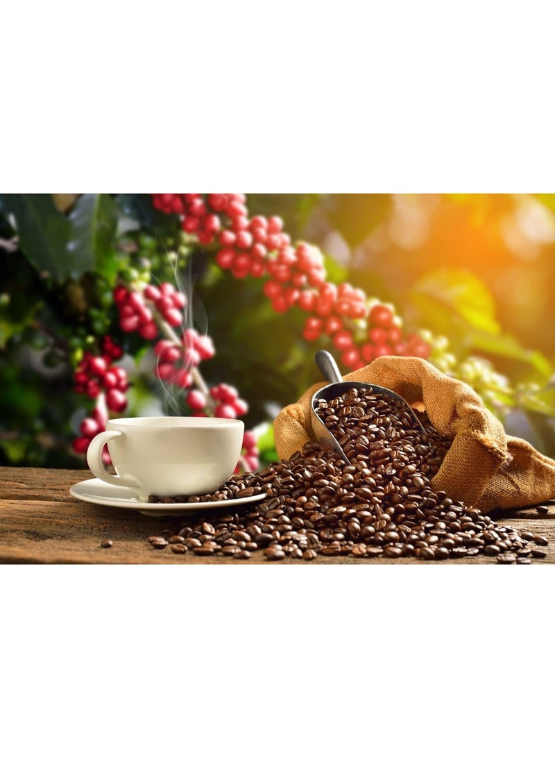 نجَّار قهوة نجار كلاسيك 200 غرام × 20، قهوة برازيلية مطحونة نقية، 100% حبوب أرابيكا معبأة بتفريغ الهواء - مثالية للقهوة الأرمنية والتركية والعربية - Image 3